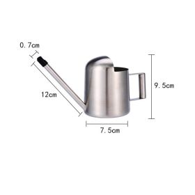 Stainless Steel Long Nozzle Watering Kettle Small