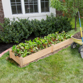 Wooden raised garden bed divisible green fence planter; natural wood